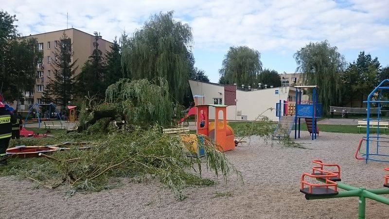 Nowy Sącz: Drzewo przygniotło 5-letnią dziewczynkę na plac zabaw przy ul. Królowej Jadwigi