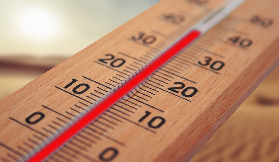 thermometer - fot. pixabay.com