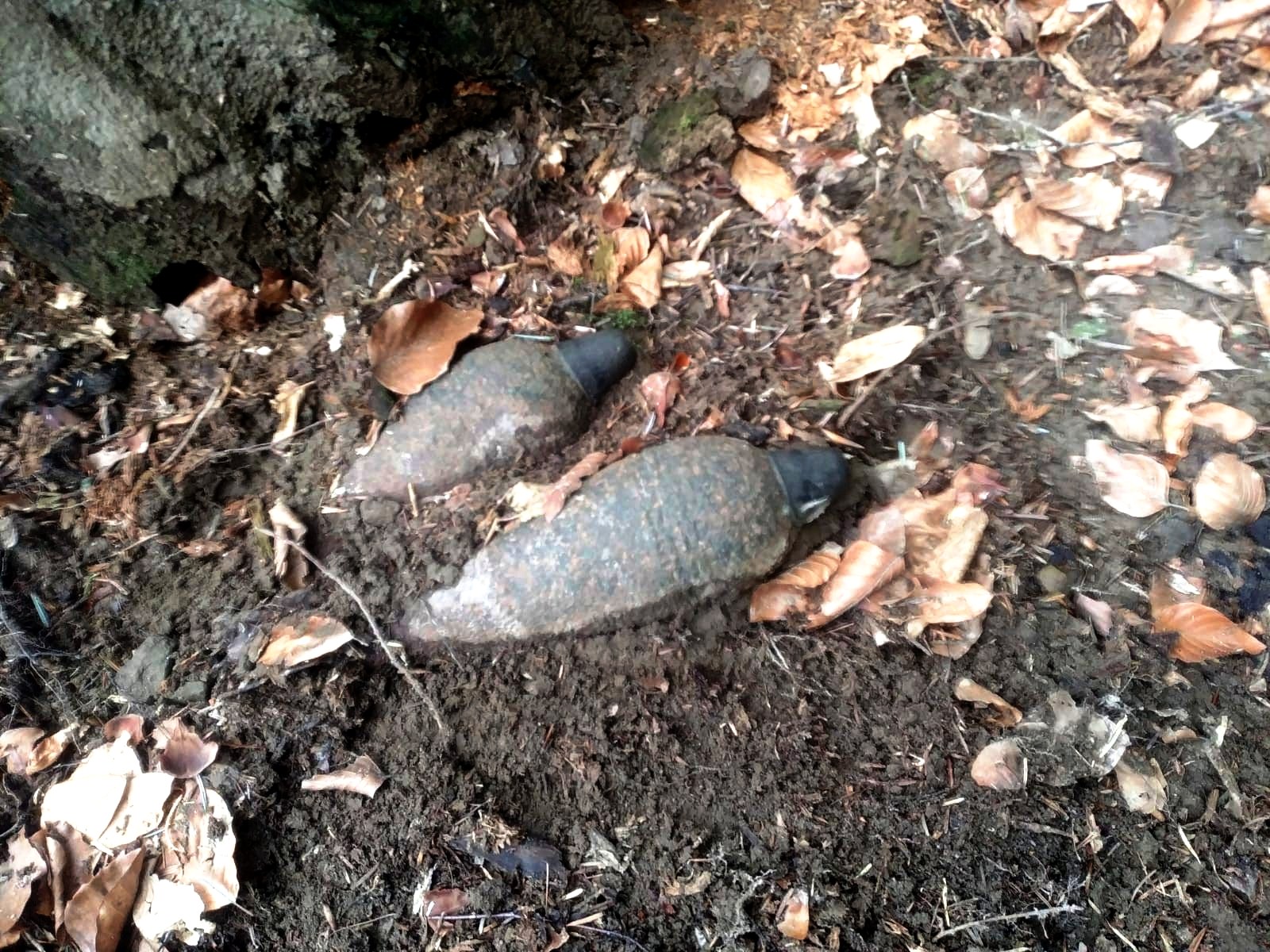 Niewybuchy znalezione w lesie - źródło: KMP Nowy Sącz