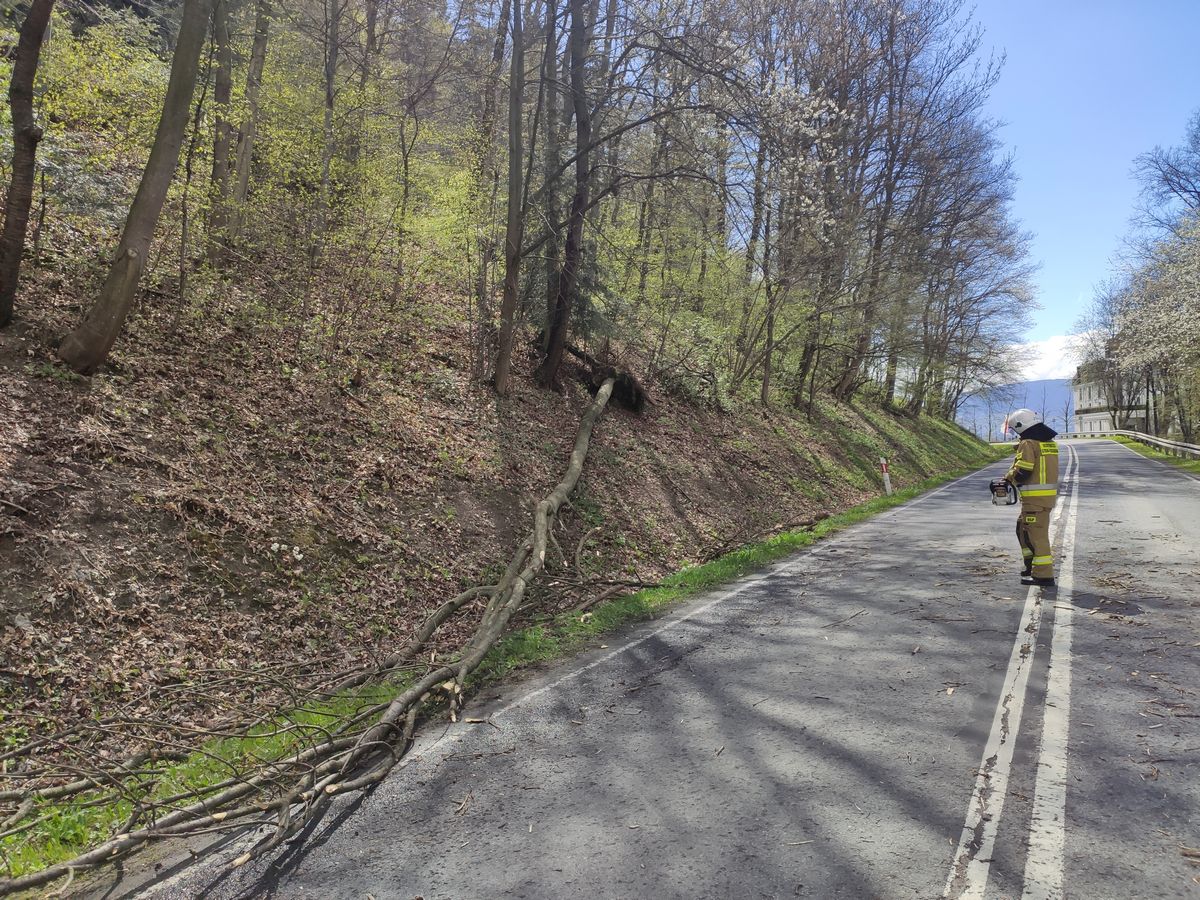 Sienna - powalone drzewo uszkodziło samochód - fot. KM PSP Nowy Sącz