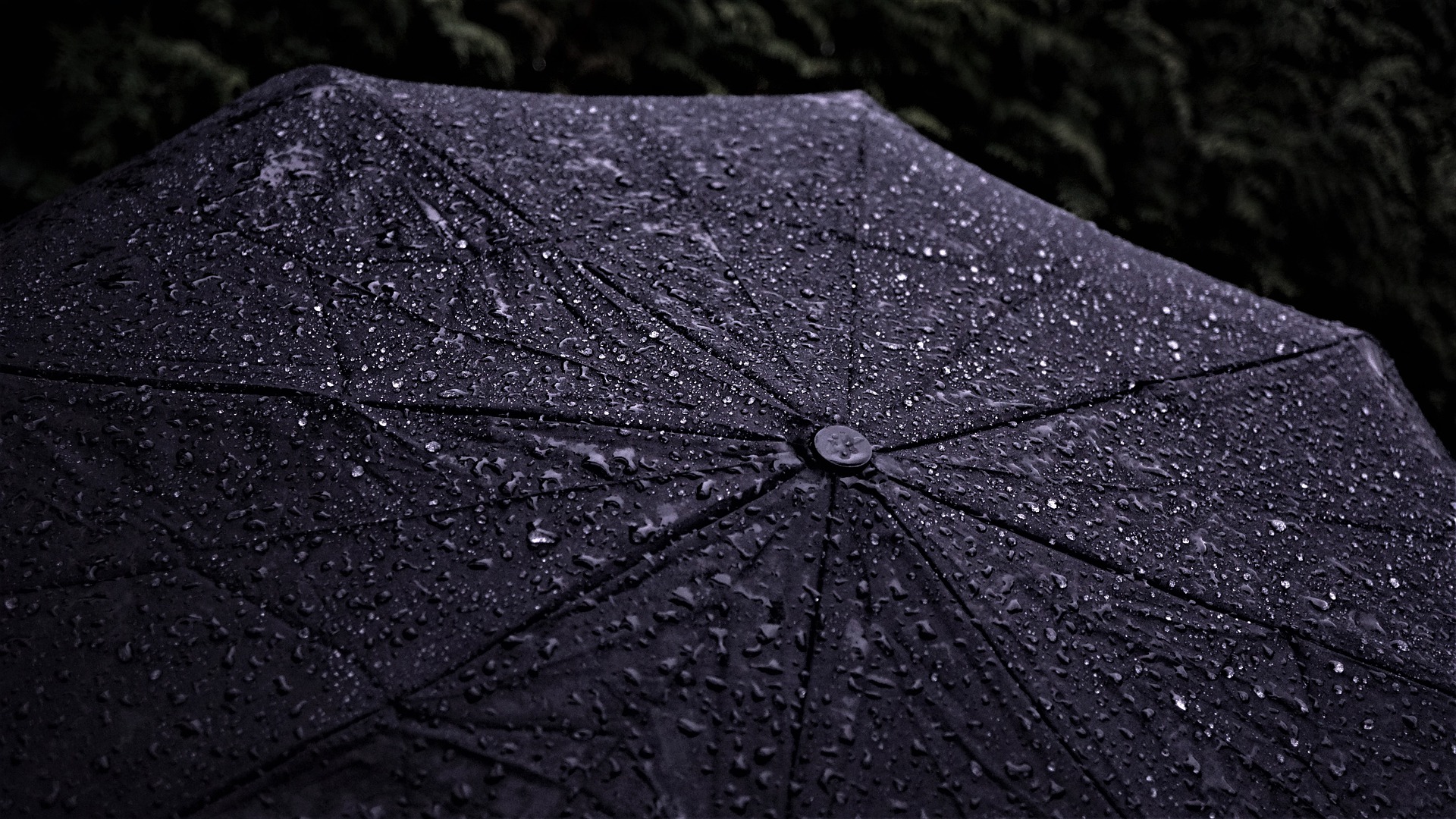 Deszcz, parasol